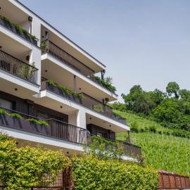 Residence Weinberg 8