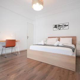 Syntagma square, 50sqm nikis luxurious apartment