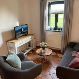 FeWo Wollin Mecklenburg Pool Alte Schule Barlin