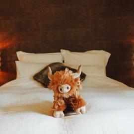 La Chamallow Vachement Douillet, hotel en Dinant