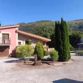 El Sauco de Ruente