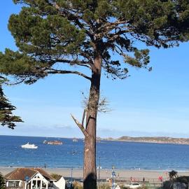 Appartement accès plage, hotelli kohteessa Perros-Guirec