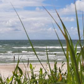 Sunny flat 250m from the beach