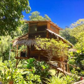 A Treehouse the Green Frog Romantic setting & Pool