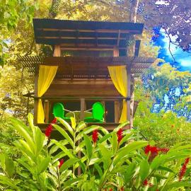 Gecko Treehouse with Jungle View, Plunge Pool & WiFi, hotel v mestu Puerto Viejo