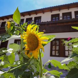 The House of Dollma , Inside Kruja Castle, hotel in Krujë