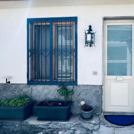 Blue House