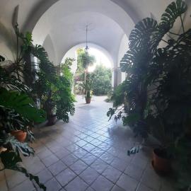 La casa delle Camelie
