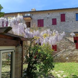 casale Don Ambrosio, hotel in Silvi Marina