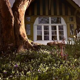 Slow life Karkonosze, hotell i Wojcieszyce