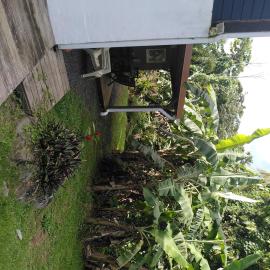 Studio dans la forêt tropicale