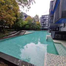 The Deck Condo Patong 7th Fl Mountain View1