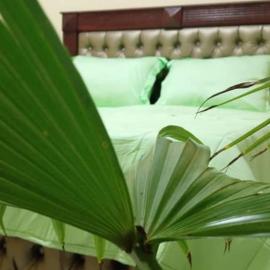 AFRIEUROTEXT Kamerun-High Standing-Appartements-Wifi-Security-Restaurant-modern Kitchen