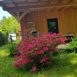 Waldbadhäusel Naturbad-Bungalow, hotel u gradu Neuwiese