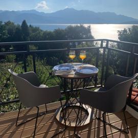 Vinogradi, hotel in Đenovići