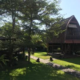 Ketewel Bed and Breakfast Jineng room