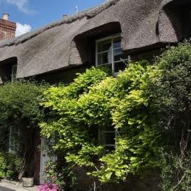 Little Thatch Cottage - Cerne Abbas, Dorset, hotelli kohteessa Cerne Abbas