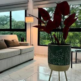 Acogedor apartamento con hermosa vista al volcán - The Goat Spot - planta alta