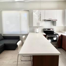 Brand New Modern Laneway House: Vancouver şehrinde bir otel