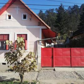 La Ţară Casa Angelica、Mălîncravのホテル
