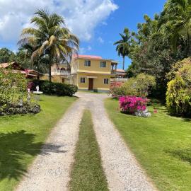 Little Shaw Park Guest House, hotel di Ocho Rios