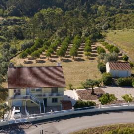 Villa Polina