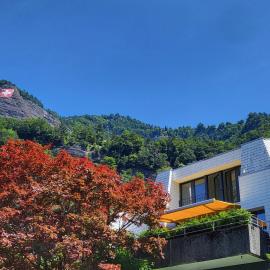 Rigi Paradise in Vitznau, Lake access, Ferry Terminal, Rigibahn, Restaurants all 2 minutes walking distance, хотел в Вицнау