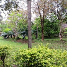 Aligama Cottage, hotel in Talakolawela
