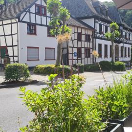 Apartment am Rathaus