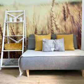 FeWo Studio 'Ein Bett im Kornfeld', Küche, 30qm, Souterrain