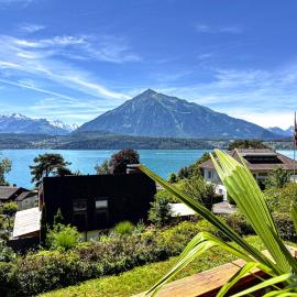 The Bluemlisalp, a private holiday flat with the lake of Thun view