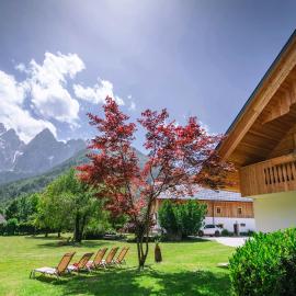Apartments Trata, hotel in Kranjska Gora
