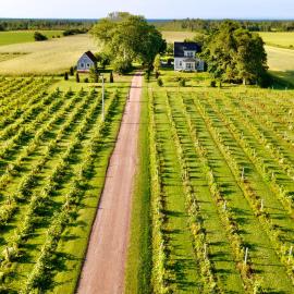 Miscouche में, होटल Sunbury Cove Winery