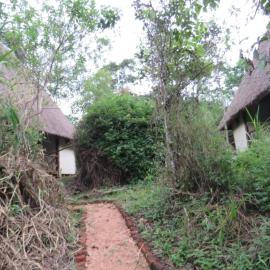 Kibale Forest Cottages And Campsite, viešbutis mieste Fort Portal