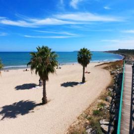 Buen día de Mar