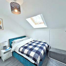 Newton's Suite
