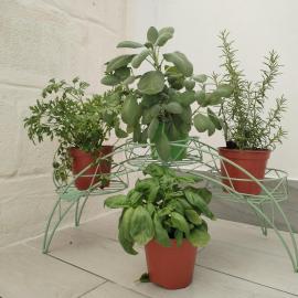 SALENTO & RELAX-Lecce Dimore Dimira