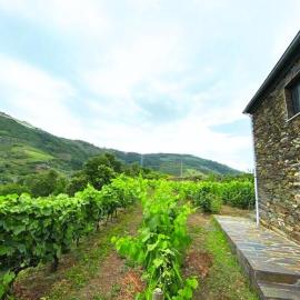 Quinta do Enxertado