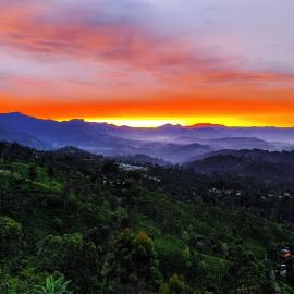 White Home