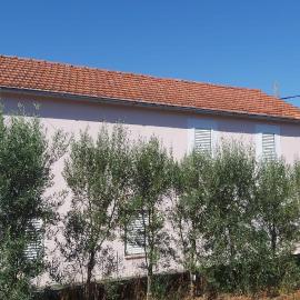 Apartments Tomas, Hotel in Ugljan