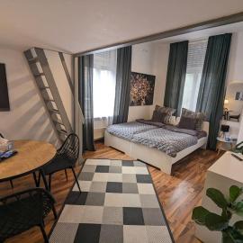 Gemütliches Apartment am Rhein 2