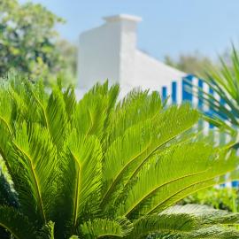 Casa Loca del mar