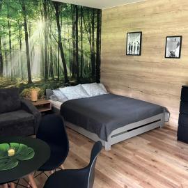 Apartmán Vrbno pod Pradědem, hotel in Vrbno pod Pradědem