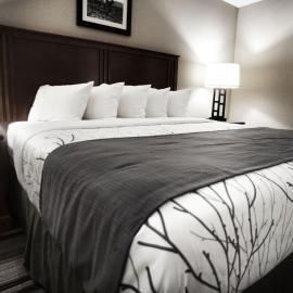 The Lodge At Moorcroft, hotel em Moorcroft