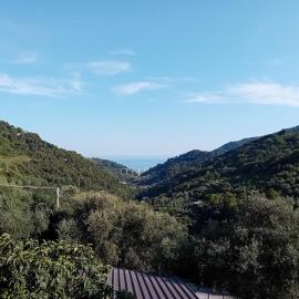 La casetta dei 4 gatti