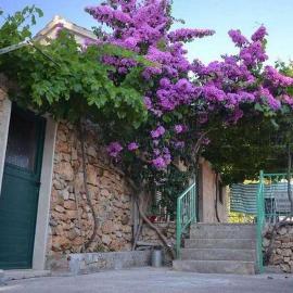 Apartments with parking space Murvica, Brac - 23462