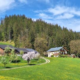 Biobauernhof Poidlbauer, hotel em Göstling an der Ybbs