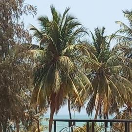 VILLA TABARA HOTEL LA TERANGA Saly Senegal, hotel in Sali Poulang