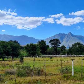 Blue Mountain Farm Lodge, Farm & Dam House