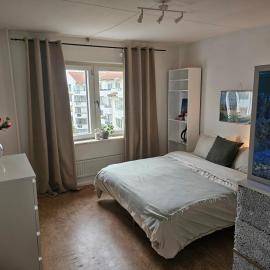 Central Room with Private Entrance and Ensuite Bathroom, hotel in Stockholm
